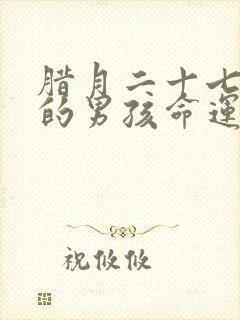 腊月二十七出生的男孩命运封面