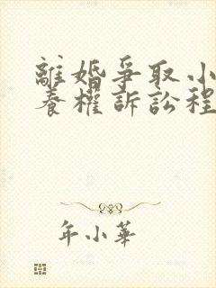 离婚争取小孩抚养权诉讼程序