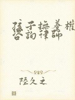 孩子抚养权问题咨询律师封面