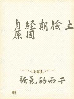 月经期脸上长痘原因封面