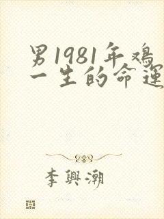 男1981年鸡一生的命运