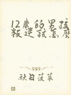 12岁的男孩子叛逆该怎么处理