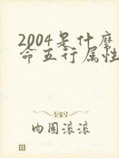2004是什么命五行属性