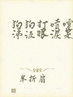 狗狗打喷嚏流鼻涕流眼泪是怎么回事封面