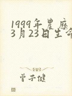 1999年农历3月23日生命运