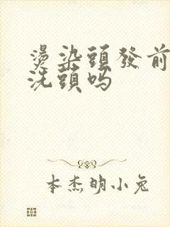 烫染头发前需要洗头吗