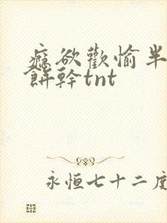 瘾欲欢愉半块小饼干tnt