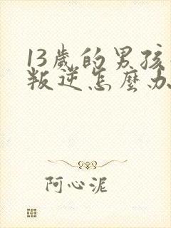 13岁的男孩子叛逆怎么办