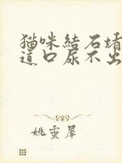 猫咪结石堵住尿道口尿不出来怎么办