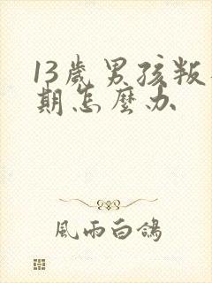 13岁男孩叛逆期怎么办