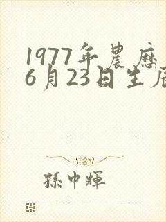 1977年农历6月23日生辰八字封面