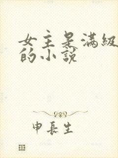 女主是满级大佬的小说