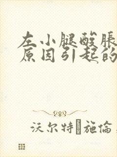 左小腿酸胀什么原因引起的