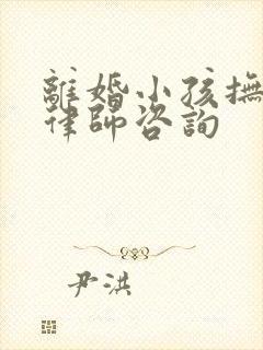 离婚小孩抚养权律师咨询