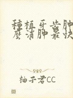 种植牙齿肿了怎么消肿最快