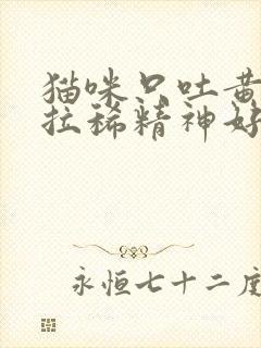 猫咪只吐黄水不拉稀精神好