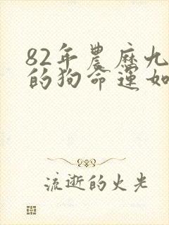 82年农历九月的狗命运如何