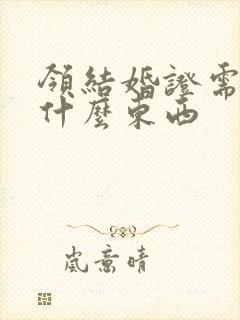 领结婚证需要带什么东西