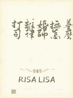 打离婚抚养权官司律师怎么收费