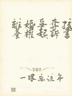 离婚争夺孩子抚养权起诉书