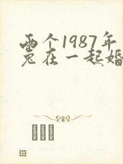 两个1987年兔在一起婚姻好不好封面