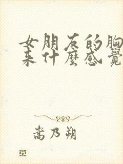 女朋友的胸摸起来什么感觉