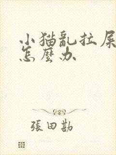 小猫乱拉屎拉尿怎么办