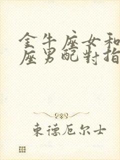 金牛座女和射手座男配对指数是多少