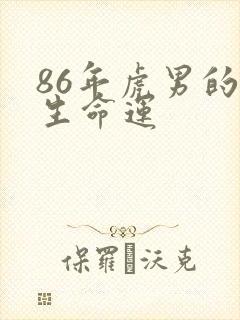 86年虎男的一生命运封面