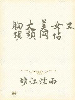 胸大美女又黄的视频网站