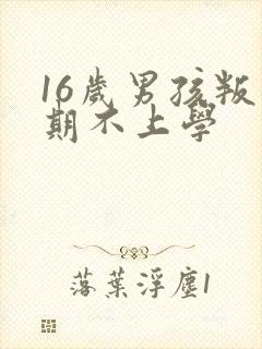 16岁男孩叛逆期不上学