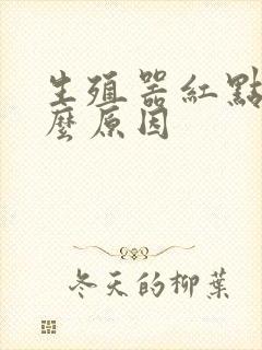 生殖器红点是什么原因