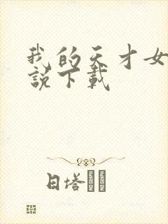 我的天才女友小说下载