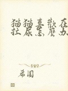 猫猫喜欢在床上拉尿怎么办?