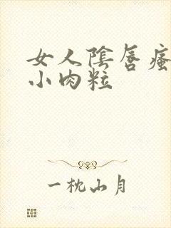 女人阴唇瘙痒有小肉粒