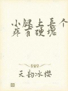 小腿上长个包很疼有硬块封面