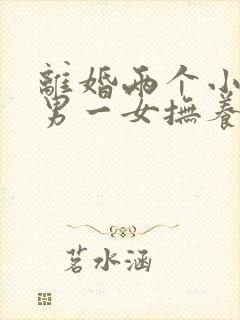 离婚两个小孩一男一女抚养权怎么判定