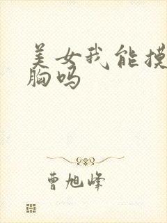 美女我能摸你的胸吗封面