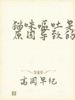 猫咪呕吐是什么原因导致的