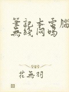 笔记本电脑能连无线网吗