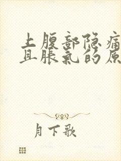 上腹部隐痛腰痛且胀气的原因有哪些