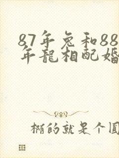 87年兔和88年龙相配婚姻如何封面