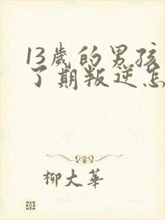 13岁的男孩到了期叛逆怎么教