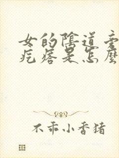 女的阴道旁有个疙瘩是怎么回事