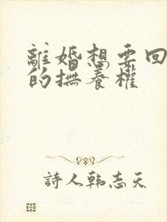 离婚想要回孩子的抚养权封面