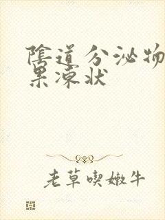 阴道分泌物出现果冻状