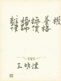 离婚抚养权纠纷律师价格封面