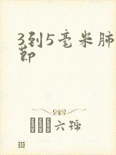 3到5毫米肺结节封面