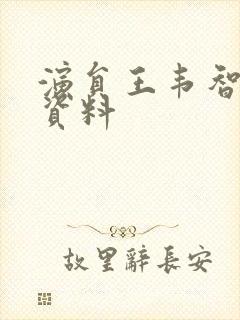 演员王韦智个人资料