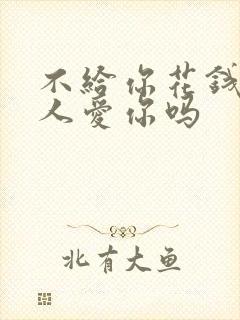 不给你花钱的男人爱你吗封面